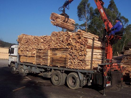 Sierra y transporte de madera
