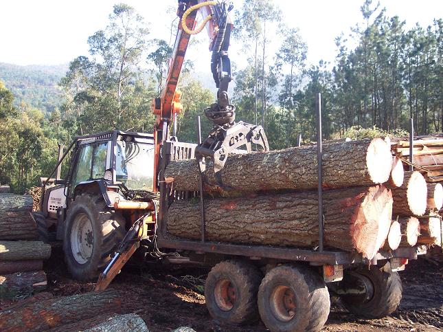 Explotaciones forestales